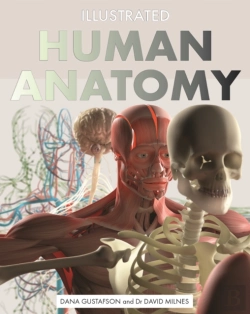 Bertrand.pt - Illustrated Human Anatomy