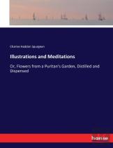 Illustrations And Meditations