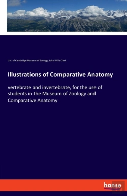 Bertrand.pt - Illustrations Of Comparative Anatomy
