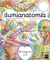 Ilumianatomía