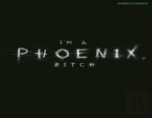 I'M A Phoenix, Bitch