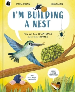 Bertrand.pt - I'M Building A Nest