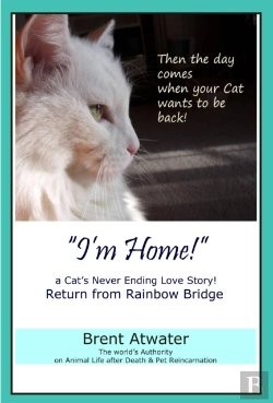 Bertrand.pt - I'M Home! A Cat'S Never Ending Love Story, Cat Reincarnation Stories- Animal Life After Death, Pet Heaven, Pet Loss & Reincarnation