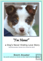 I'M Home! A Dog'S Never Ending Love Story- Animal Life After Death -Dog Heaven, Dog'S Purpose For Reincarnation, Animal Soul Contracts