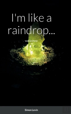 Bertrand.pt - I'M Like A Raindrop...