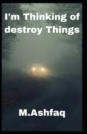 I'M Thinking Of Destroy Things