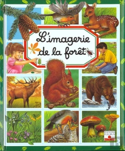 Bertrand.pt - Imagerie De La Foret