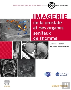Bertrand.pt - Imagerie De La Prostate Et Des Organes Génitaux De L'Homme