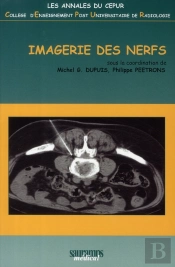 Imagerie Des Nerfs