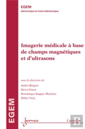 Imagerie Médicale À Base De Champs Magnétiques Et D'Ultrasons