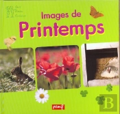 Images De Printemps
