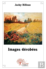 Images Dérobées