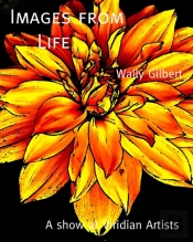 Images From Life