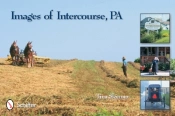 Images Of Intercourse