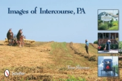 Bertrand.pt - Images Of Intercourse