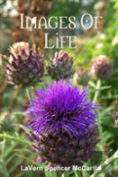 Images Of Life