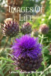 Images Of Life