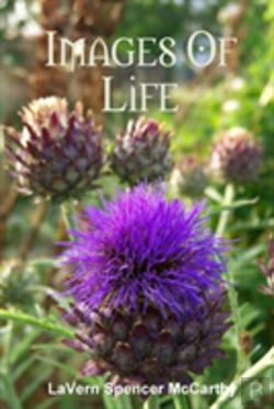 Bertrand.pt - Images Of Life