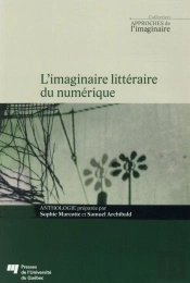 Imaginaire Litteraire Du Numerique