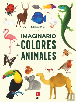 Bertrand.pt - Imaginario De Colores De Animales