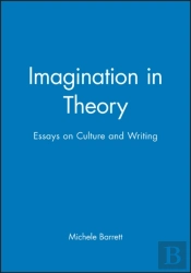 Imagination In Theory