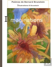 Imaginations