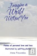 Imagine A World Without You