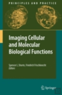 Bertrand.pt - Imaging Cellular And Molecular Biological Functions