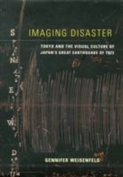 Imaging Disaster
