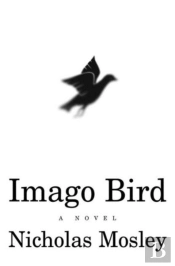 Imago Bird