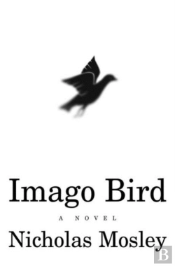 Bertrand.pt - Imago Bird