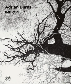 Bertrand.pt - Imbroglio