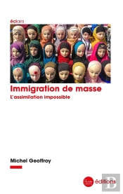 Immigration De Masse : L'Assimilation Impossible