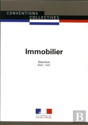 Immobilier