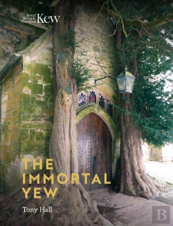 Bertrand.pt - Immortal Yew, The