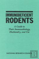 Immunodeficient Rodents