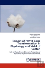 Impact Of Phy B Gene Transformation In Physiology And Yield Of Cotton