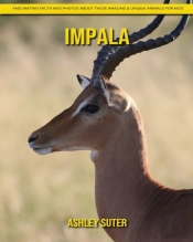 Impala
