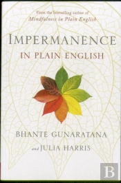 Impermanence In Plain English