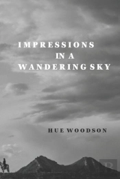 Impressions In A Wandering Sky