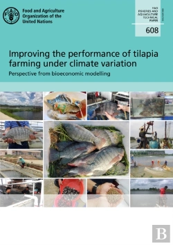 Bertrand.pt - Improving The Performance Of Tilapia