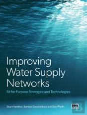 Improving Water Supply Networks: Fit For Purpose Strategies And Technologies