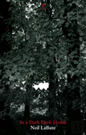 In A Dark Dark House
