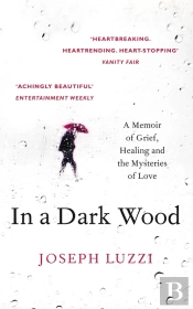 In A Dark Wood