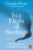 In A Flight Of Starlings