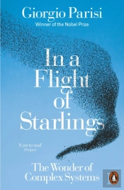 In A Flight Of Starlings
