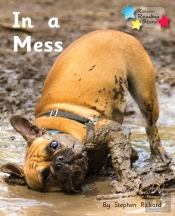 In A Mess