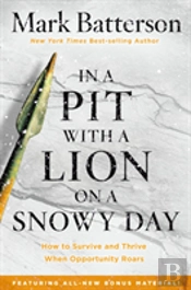 In A Pit With A Lion On A Snowy Day