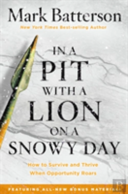 Bertrand.pt - In A Pit With A Lion On A Snowy Day