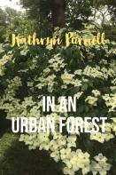 In An Urban Forest